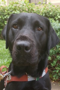 Profile photo of Layla