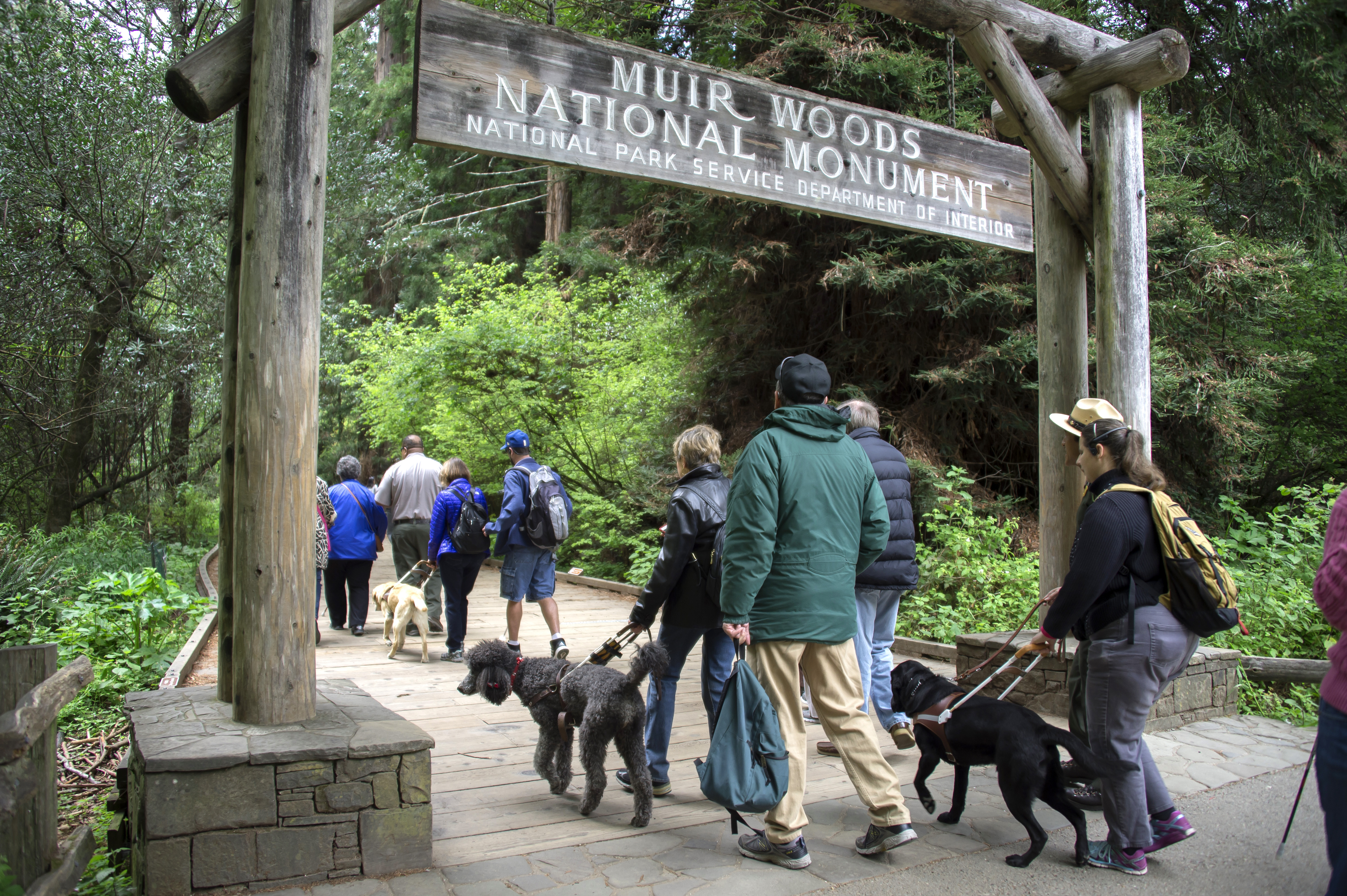 Photo of Testing Audio Description: Muir Woods National Monument, California (2018)
