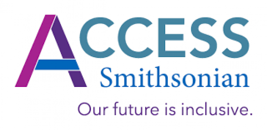 Inclusive Digital Interactives (2020) logo